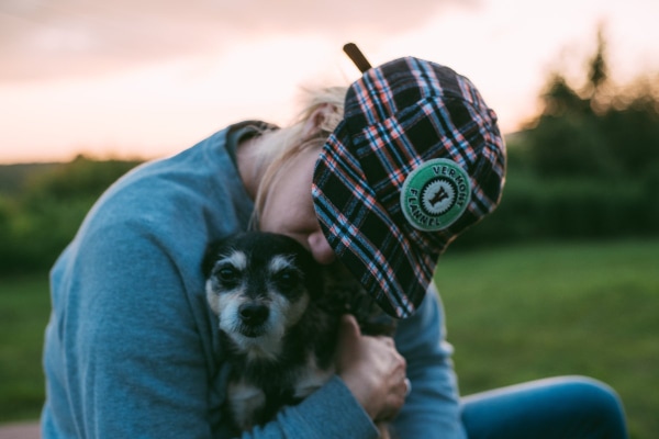 Senior Chihuahua being kissed by owner after an evening walk