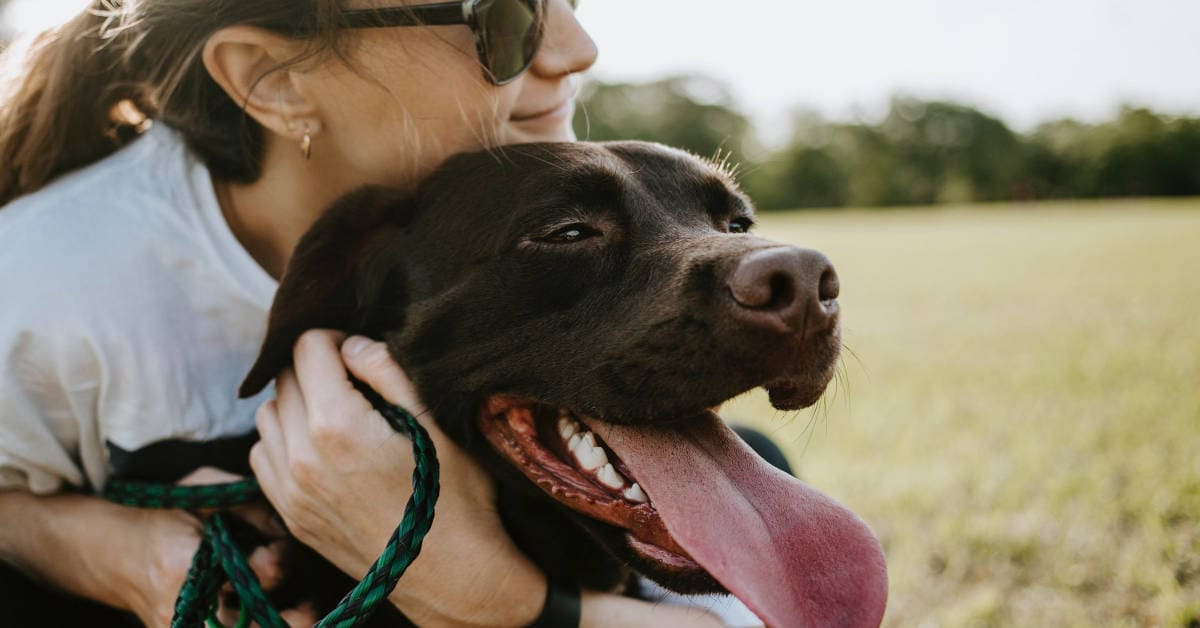 How to Be a Good Dog Mom: 3 Life Lessons from a Dog Mom Vet