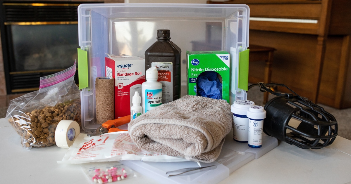 What to pack in a First Aid Kit/Emergency Kit - Take a Hike!