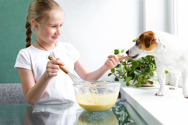 Little girl letting a dog lick sugar batter from her finger