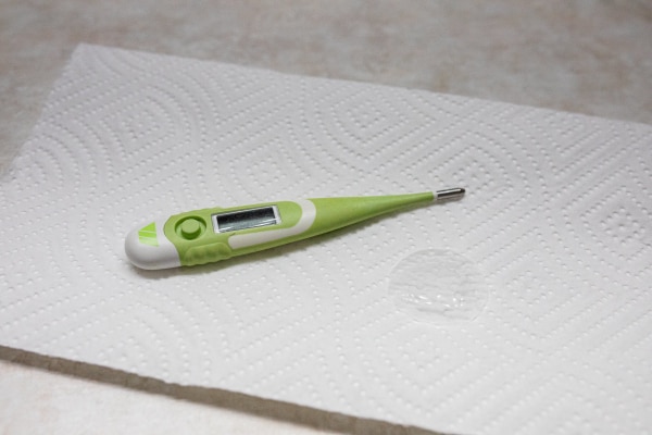 Supplies for taking a dog's rectal temperature: showing a thermometer, lubricant, and paper towel