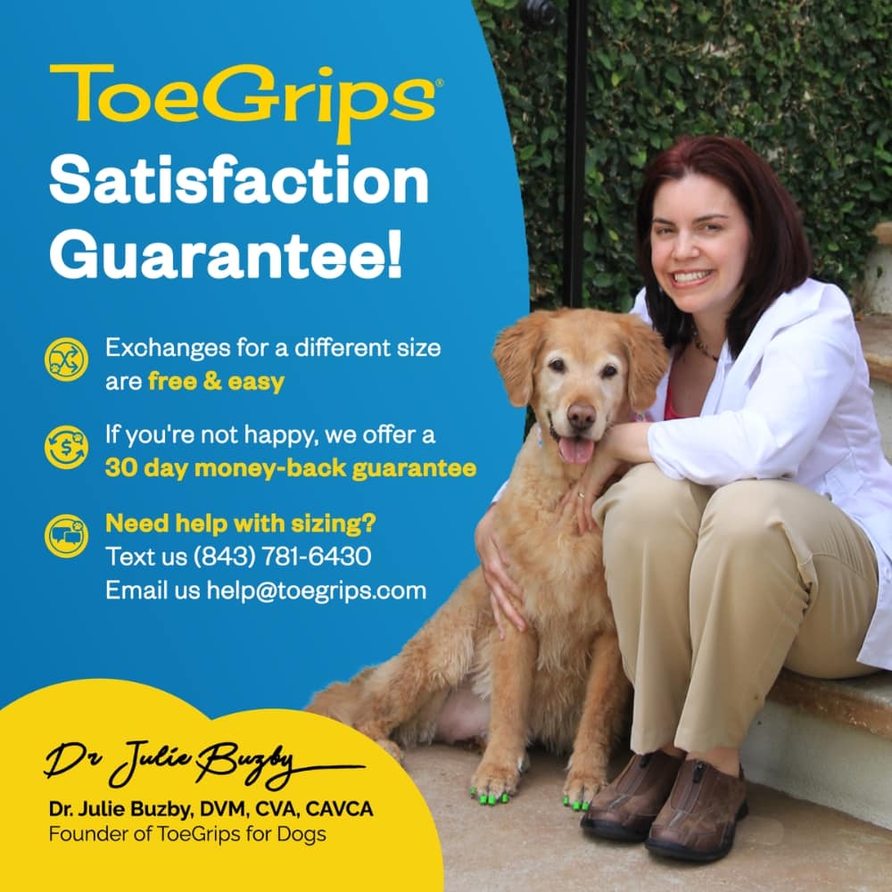 Dr. Buzby, founder of ToeGrips, sitting next to senior Golden Retriever and the text reads ToeGrips Satisfaction Guarantee, exchanges for a different size are free and easy, 30-day money back guarantee, for sizing help text 843-781-6430 or email help@toegrips.com