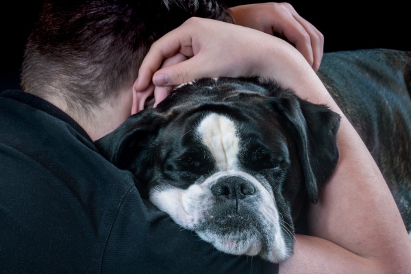 Boy hugging a Boxer dog as one way to keep a dog entertained during TPLO recovery