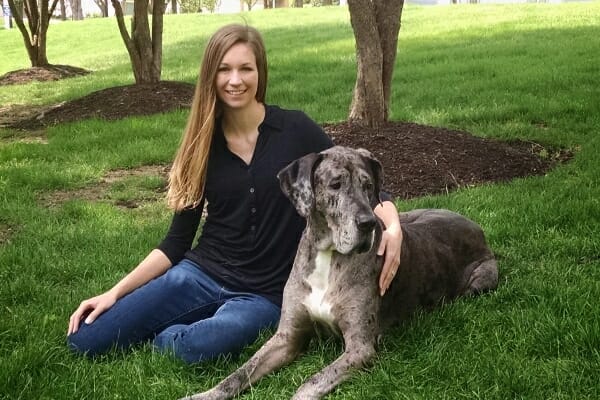 Oliver, a Great Dane who had TPLO surgery for dogs, sitting in the grass beside his dog mom 