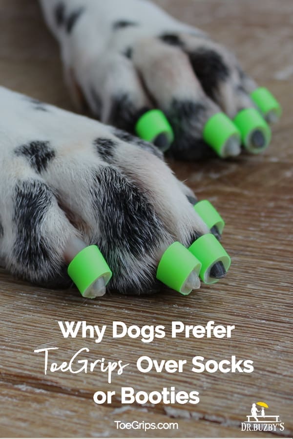 Dog paws with green ToeGrips on toenails and title, Why Dogs Prefer Toegrips Over Socks, Booties
