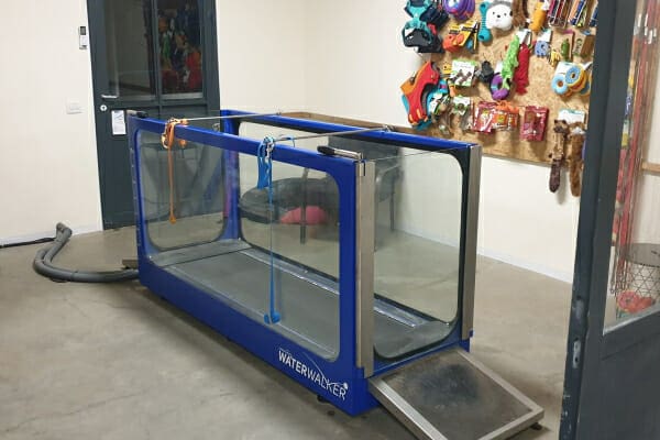 An underwater treadmill, currently not being used, photo