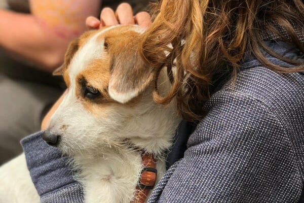 woman hugging dog, photo