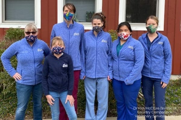 veterinary staff wearing protective masks during covid-19. photo. 