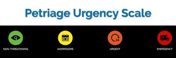 graphic of petriage's urgency scale for veterinary telemedicine with icons for non-threatening to emergency situation. photo