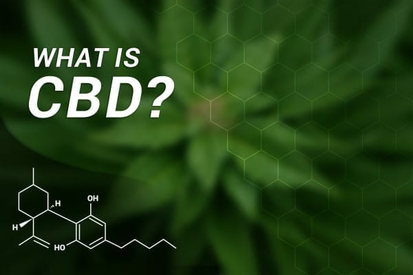 Graphic with marijuana plant,  the molecule for CBD, and the title What is CBD