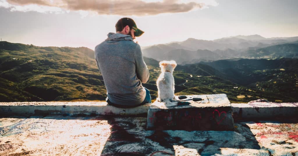 dog and man sitting looking at each other, photo